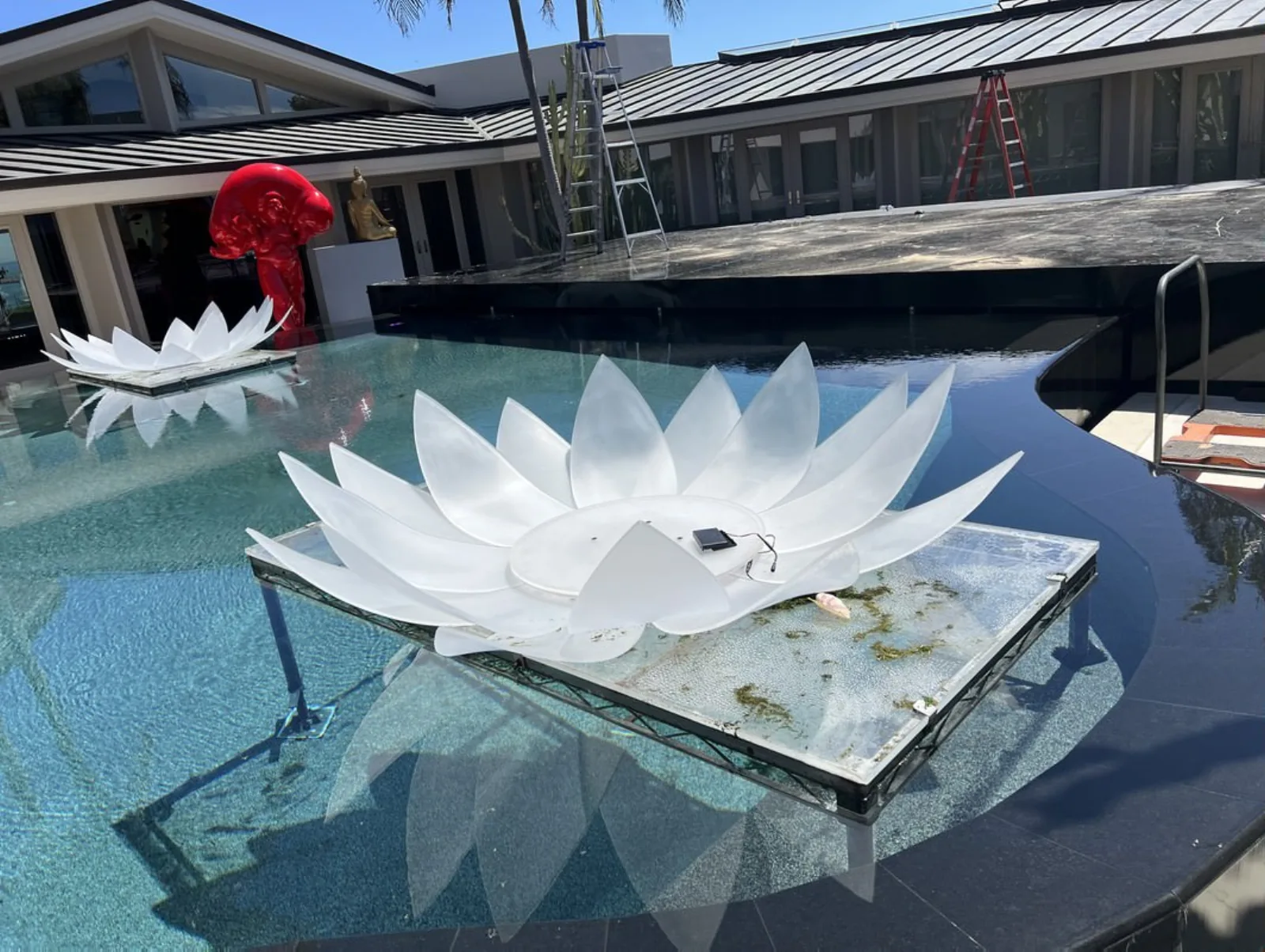 Pool Covers — Pool cover with floating lotus decor and red sculpture — backyard art event
